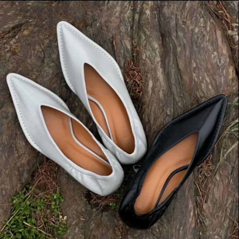 2025 ใหม่ Pointed Toe รองเท้าเ - Women'S Fashion For 2025 บทวิจารณ์และราคา